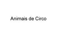 Animais de Circo