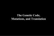The Genetic Code, Mutations, and Translation