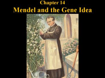 Chapter 14 Mendel and the Gene Idea