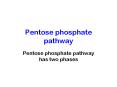 Pentose phosphate pathway PowerPoint PPT Presentation