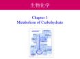 Chapter 3 Metabolism of Carbohydrate PowerPoint PPT Presentation