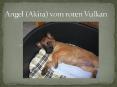 Angel (Akira) vom roten Vulkan PowerPoint PPT Presentation