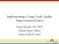 Implementing a Large-Scale Quality Improvement Project PowerPoint PPT Presentation
