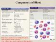 Components of Blood PowerPoint PPT Presentation