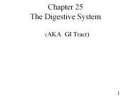 Chapter 25 The Digestive System