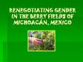 RENEGOTIATING GENDER IN THE BERRY FIELDS OF MICHOAC PowerPoint PPT Presentation