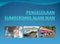 PENGELOLAAN SUMBERDAYA ALAM IKAN PowerPoint PPT Presentation