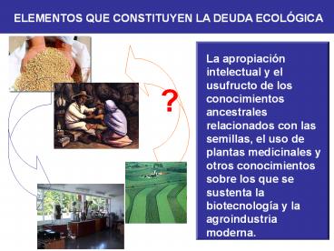 ELEMENTOS QUE CONSTITUYEN LA DEUDA ECOL