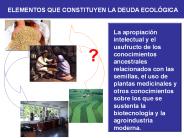 ELEMENTOS QUE CONSTITUYEN LA DEUDA ECOL