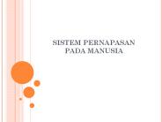 SISTEM PERNAPASAN PADA MANUSIA