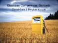 Biomass Conversion: Biofuels PowerPoint PPT Presentation