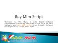 Buy Mlm Script, Software from Armmlm.com