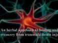 An herbal approach to healing and recovery from traumatic brain injury PowerPoint PPT Presentation