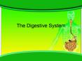 The Digestive System PowerPoint PPT Presentation
