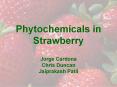 Phytochemicals in Strawberry PowerPoint PPT Presentation