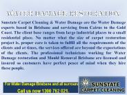 Carpet Water Damage