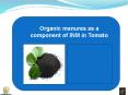 Organic manures as a component of INM in Tomato PowerPoint PPT Presentation