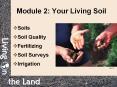 Module 2: Your Living Soil PowerPoint PPT Presentation