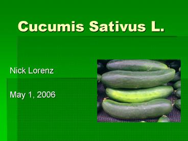 Cucumis Sativus L.