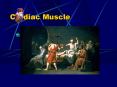 Cardiac Muscle PowerPoint PPT Presentation