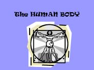The HUMAN BODY