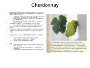 Chardonnay