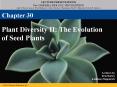 Plant Diversity II: The Evolution of Seed Plants PowerPoint PPT Presentation