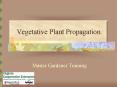 Vegetative Plant Propagation PowerPoint PPT Presentation