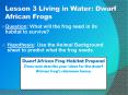 Question: What will the frog need in its habitat to survive? PowerPoint PPT Presentation