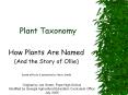 Plant Taxonomy PowerPoint PPT Presentation
