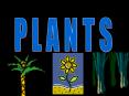 WHY STUDY PLANTS? PowerPoint PPT Presentation