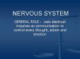NERVOUS SYSTEM PowerPoint PPT Presentation