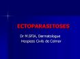 ECTOPARASITOSES PowerPoint PPT Presentation