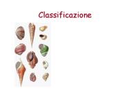 Classificazione