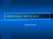 KARDIOVASKULARNI SUSTAV