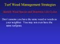 Turf Weed Management Strategies PowerPoint PPT Presentation