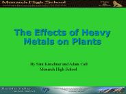 The Effects of Heavy Metals on Plants