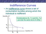 Indifference Curves