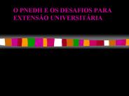 O PNEDH E OS DESAFIOS PARA EXTENS