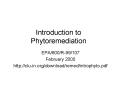 Introduction to Phytoremediation PowerPoint PPT Presentation