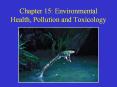 Chapter 15: Environmental Health, Pollution and Toxicology PowerPoint PPT Presentation