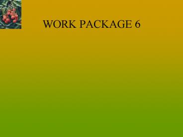WORK PACKAGE 6
