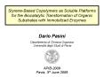 Dario Pasini PowerPoint PPT Presentation