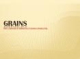 Grains http://www.mypyramid.gov/pyramid/grains.html PowerPoint PPT Presentation