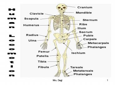 presentation player overlay