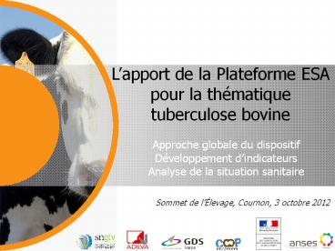 Approche globale du dispositif D