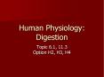 Human Physiology: Digestion PowerPoint PPT Presentation