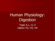 Human Physiology: Digestion
