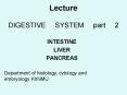 Lecture DIGESTIVE SYSTEM part 2 PowerPoint PPT Presentation