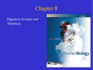 Digestive System and Nutrition